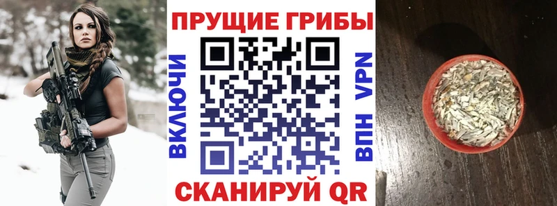 Галлюциногенные грибы мухоморы  Купить  Прохладный 